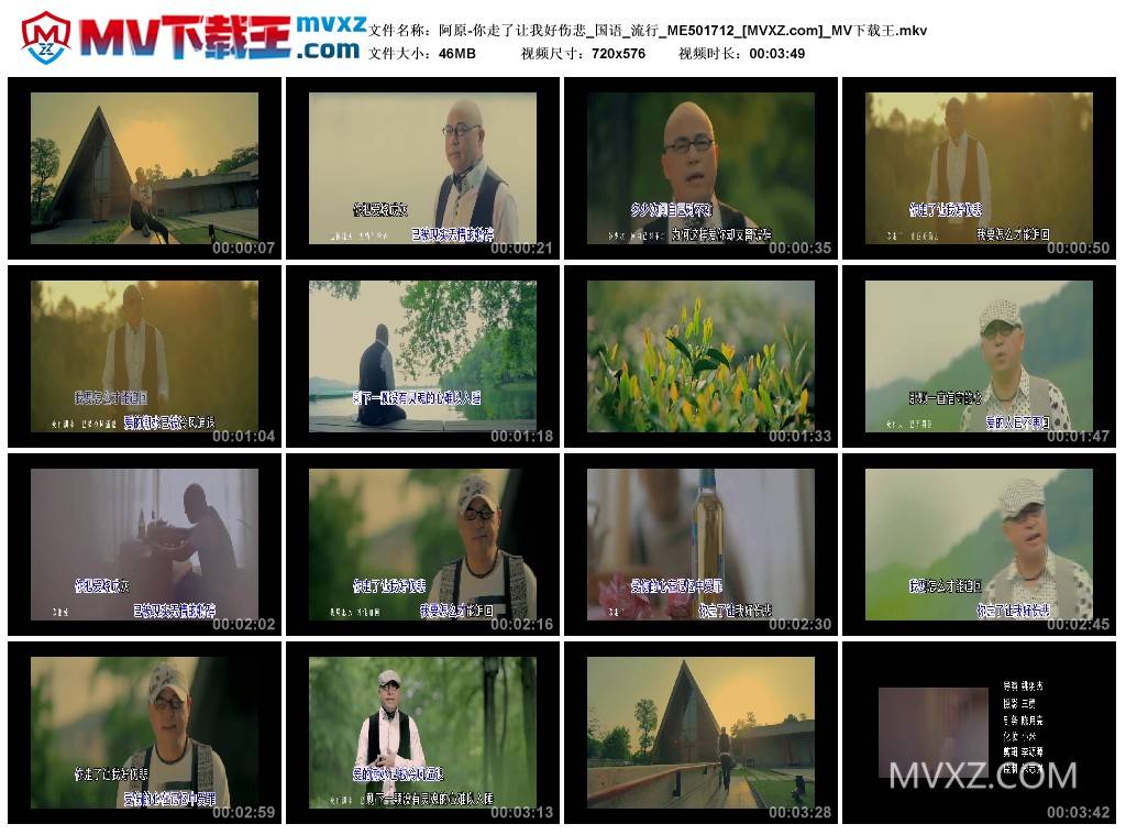 阿原-你走了让我好伤悲_国语_流行_ME501712